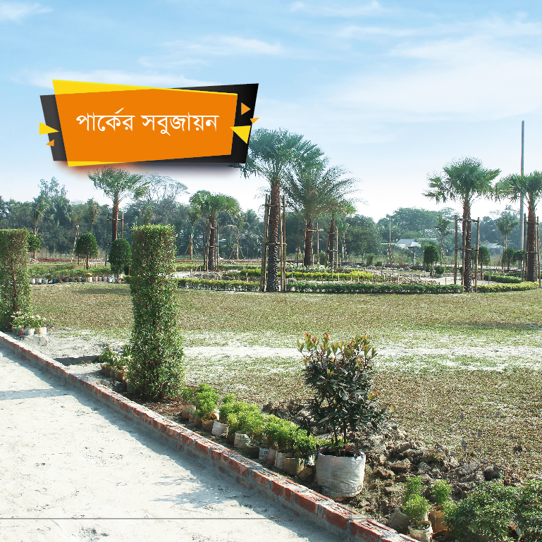 Website images-22